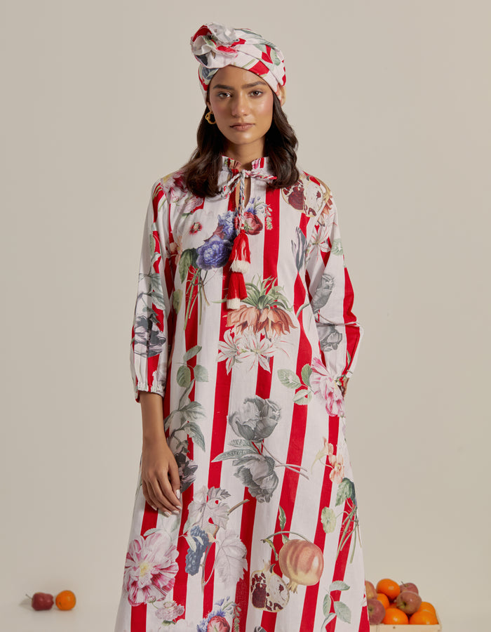 Bloom Voyage - Red Stripe Printed Dress