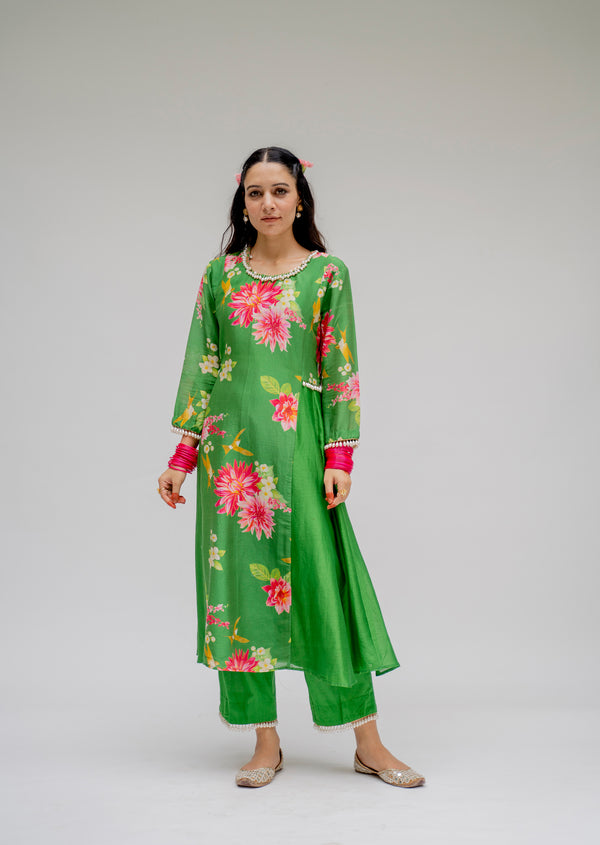 Baagh - Green Printed Panel Suit - Set of 3