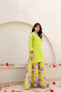 Garden- Green Embroidered Solid Kurta With Printed Sharara - Set of 3