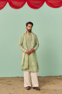 Mint Tissue Silk Solid Kurta Set
