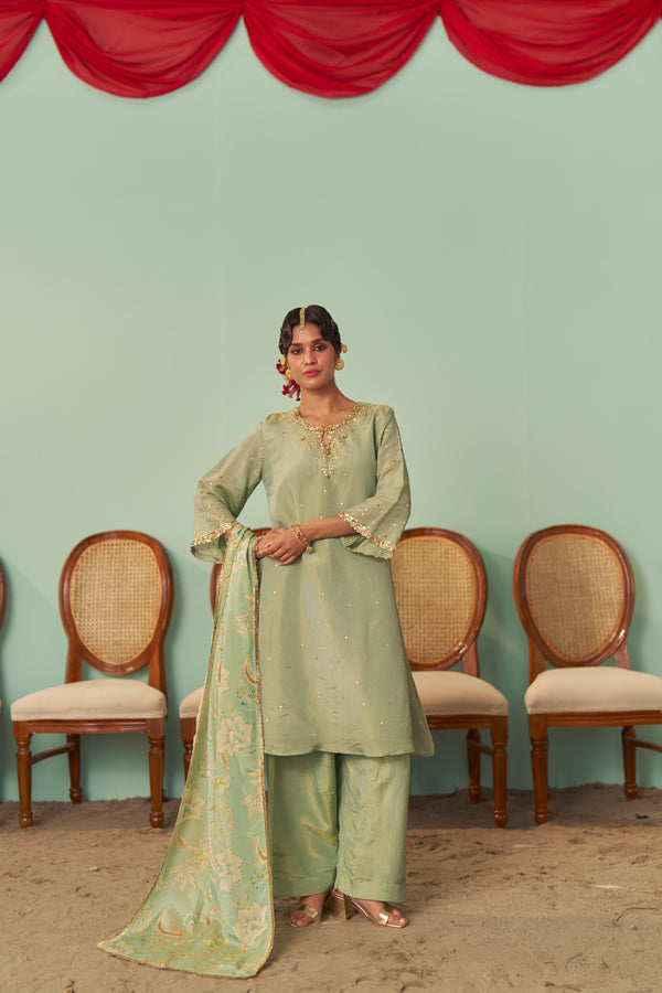 Mint A-Line Tissue Silk Kurta Set