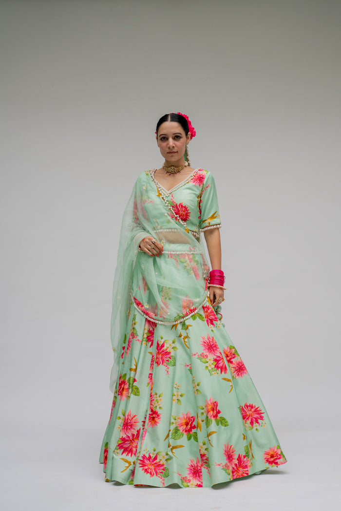 Baagh- Mint Printed Lehenga  - Set of 3